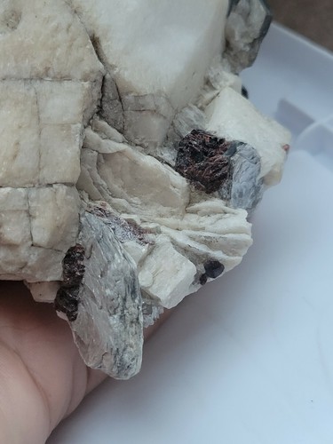 Rare combination of Garnet and Mica + Feldspar (694g) - Picture 4 of 12