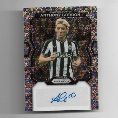 23-24 PANINI PRIZM GUDJOHNSEN 直筆サインカード 23-24 PANINI PRIZM GORDON 直筆サイン Choice