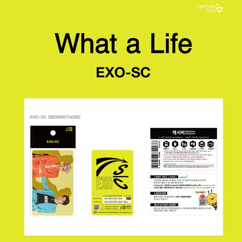 EXO - SC 1st Mini Album What a life Official Cashbee Photo Card + Gift Photo - Picture 8 of 14