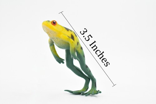 American Tree Frog Green and Yellow Toy Realistic Figure Model 3.5" F4402 - Bild 2 von 6