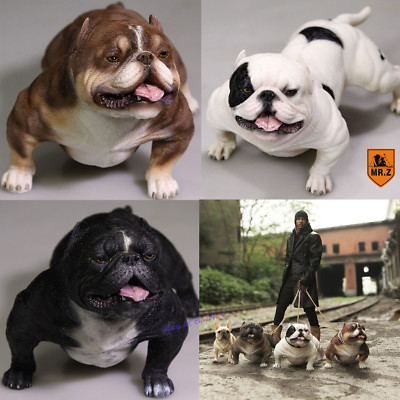 1//6 Scale for 12/" aucion figure /"Mr.Z/" American bully pitbull light colour 002