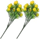Foto 10 di 12