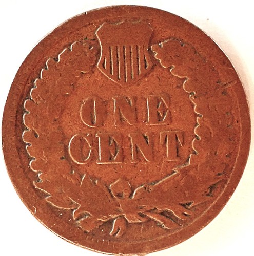 US 19th & 20th Century Bronze Indian Head Cents🪙Antique🪙As Depicted - Picture 16 of 18