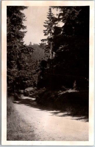 Wernigerode DDR Waldweg Bäume Turm RPPC Postkarte - Bild 1 von 2