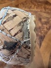 Foto 22 di 24