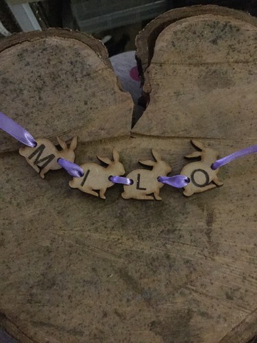 Guinea pig Small Animal Pet rodent Lover owner breeder bunting engraved personal - Picture 6 of 12