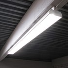 Bild 9 von 9