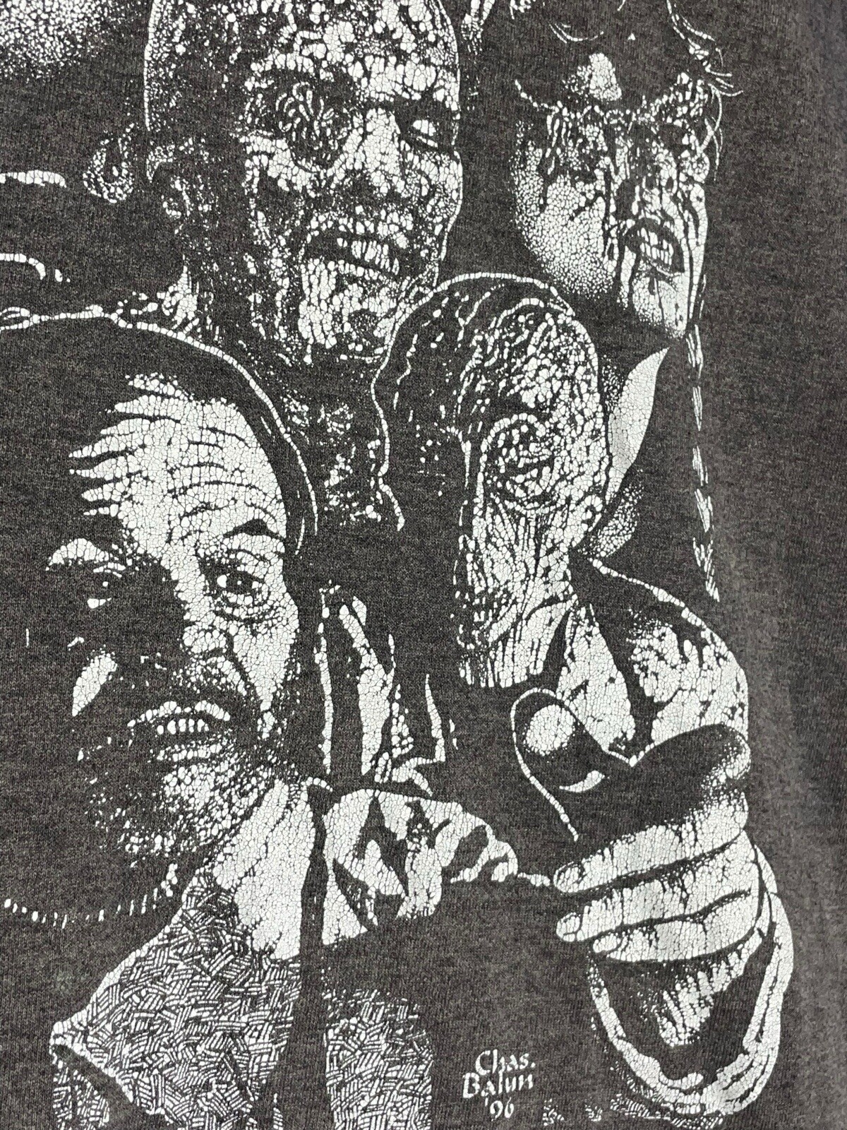 Picture 11 of 19