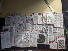 Woodware Craft Collection -  Assorted - Stamps / Dies  - You pick