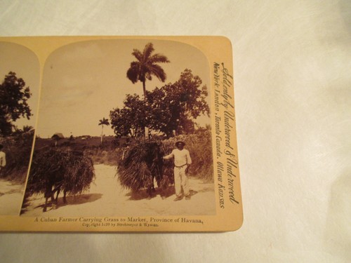 Tarjeta estéreo de agricultor cubano que lleva hierba al mercado provincia de La Habana - Imagen 2 de 3