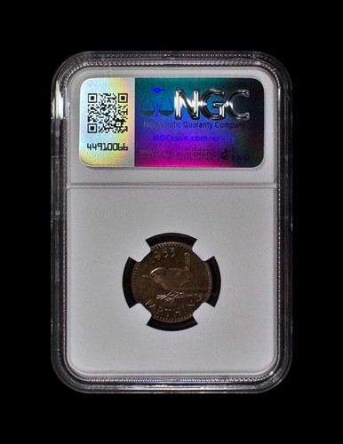GREAT BRITAIN. 1953, Farthing - NGC PF64 - Eurasian Wren, Troglodyte RARE 002 ๐ - Picture 5 of 7