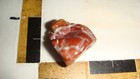 Picture 2 of 2