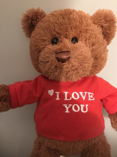 Gund I love you t-shirt Bear Plush Stuffed Animal -New Without Tags - Picture 7 of 12