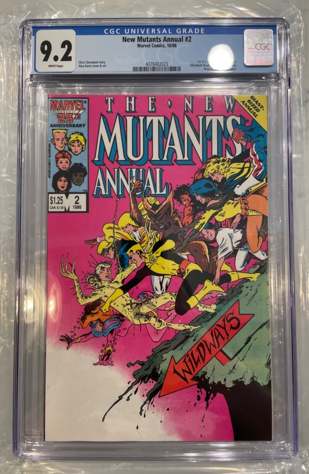 The New Mutants Annual #2