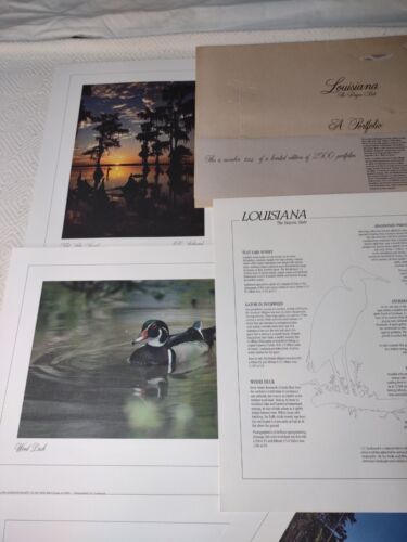 Cartera Louisiana: The Bayou State: Edición Limitada por C.C. Lockwood - Imagen 3 de 10
