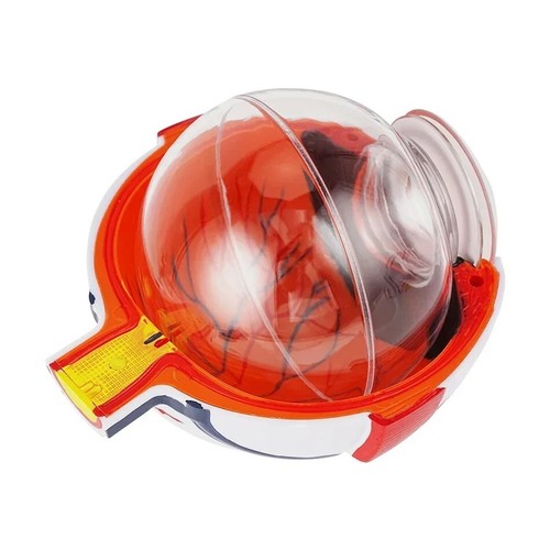 Eyeball Model Anatomical Eye Model Medical Learning And Teaching Instrument Medi - Picture 5 of 6