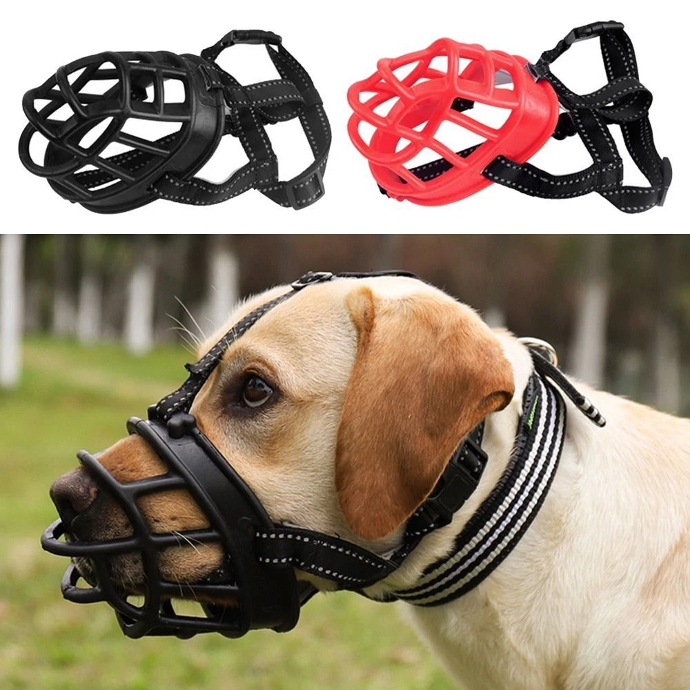 Nice top dog muzzle