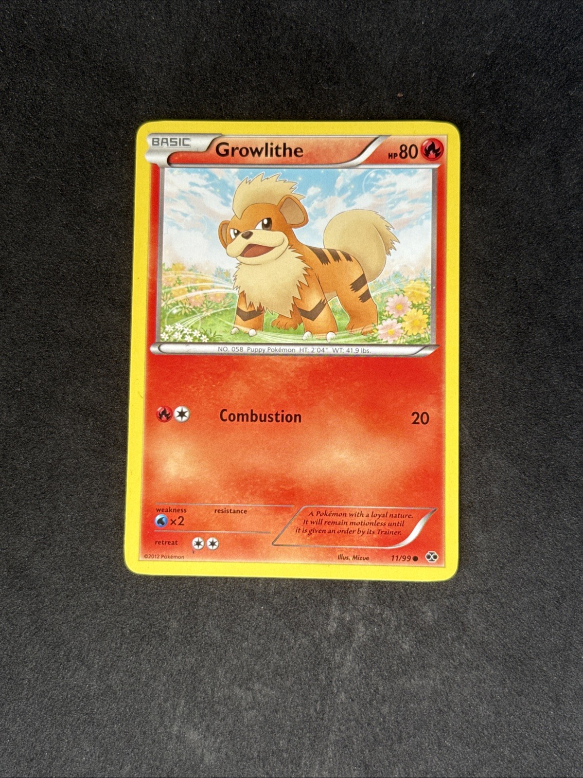 NM Growlithe 11/99 Next Destinies Regular