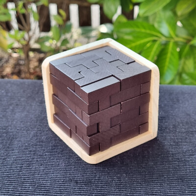 Sharp Brain Zone 3D Wooden Brain Teaser Denkspiel Holz Puzzle // neuwertig
