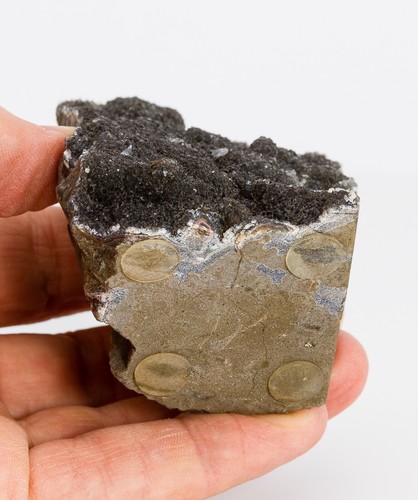 Geoda de amatista arco iris negro raro racimo de cristal decoración de catedral .49 lb H1641 - Imagen 13 de 13