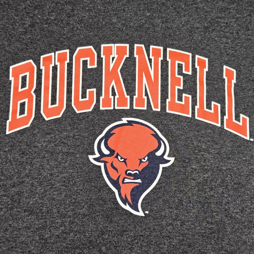 Bucknell Bison Herren Erwachsene Unisex Small T-Shirt - Champion - Langarm dunkelgrau - Bild 4 von 10