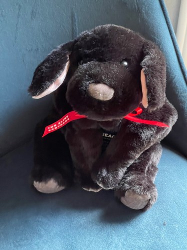 NWT Guide Dog Plush Two Blind Brothers Set of 2 Guide Dogs Poodle & Lab Braille - Bild 9 von 20