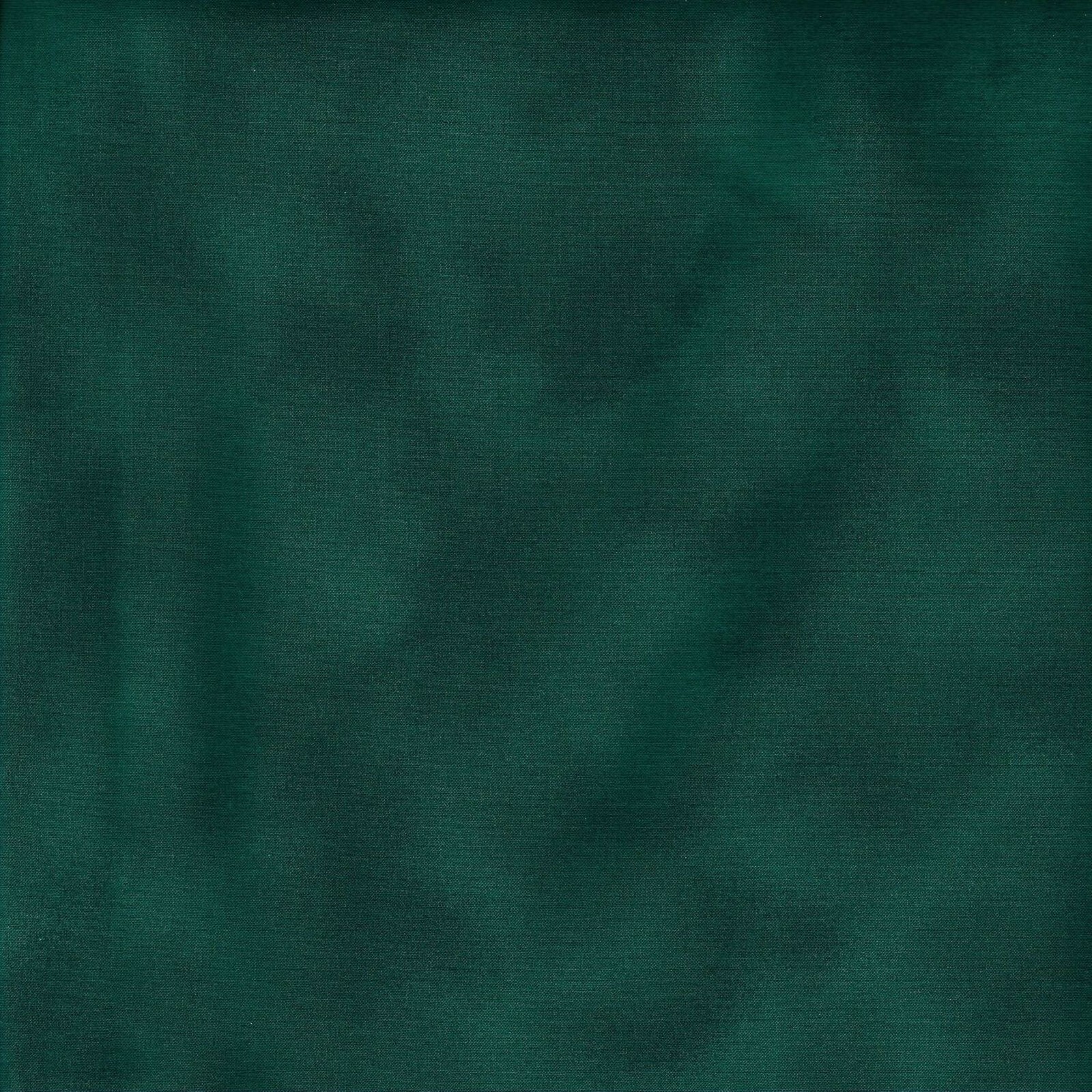 Picture 13 of 79