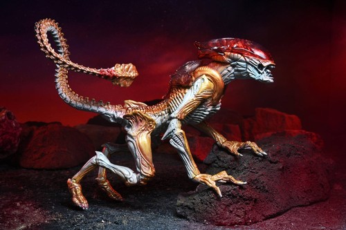 Aliens Action Figure Panther Alien (Kenner Tribute) 23 cm NECA in STOCK - Foto 5 di 11