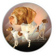  Adesivo motivo 1 Braque Francais / cane da guardia francese adesivo auto 