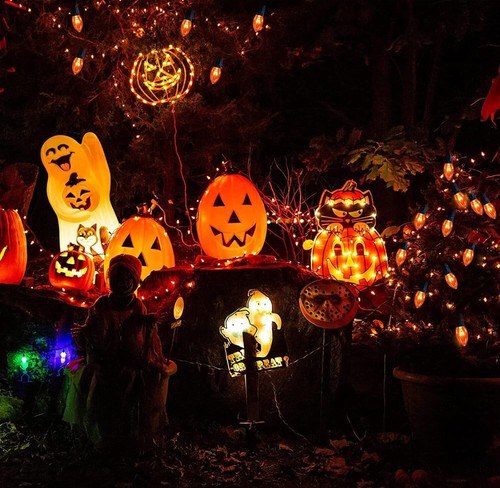 SUNSGNE 25 Pack C9 Orange Replacement Light Bulbs, Halloween Clear - Picture 7 of 7