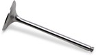 Del West Titanium Intake Valve (1mm Oversize) - Outer Motorcycle ATV/UTV