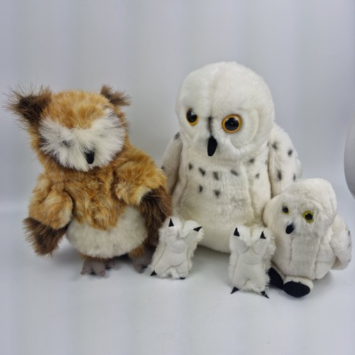 Bundle of 3 Plush Owls – Snowy Owl & Brown Owl Soft Toys Mixed Sizes Cuddly - Picture 3 of 3