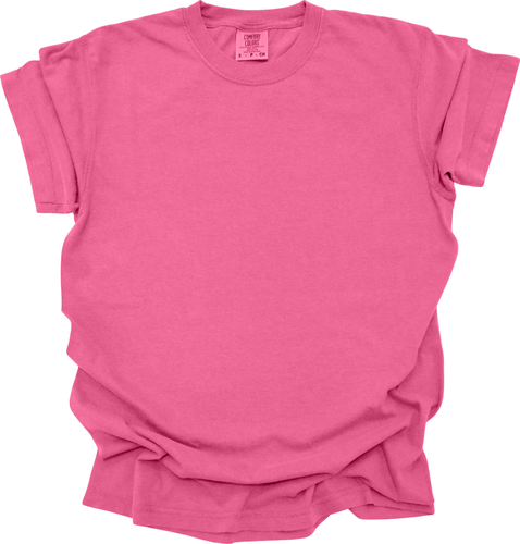 True Patriot Charlie Kirk Comfort Colors T-Shirt - Picture 65 of 100
