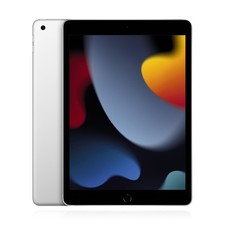Apple iPad (2021) 64GB WiFi Silber MwSt nicht ausweisbar