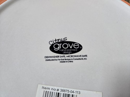 Lot (4) CITRUS GROVE Dinner Plate Orange 10 5/8" Stoneware Hand Painted Swirl - Imagen 4 de 4