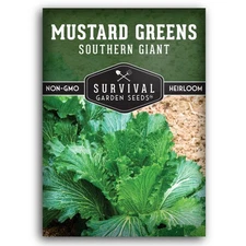 Southern Giant Mustard Green Seeds for Planting – Heirloom Non-GMO Spicy Gree...
