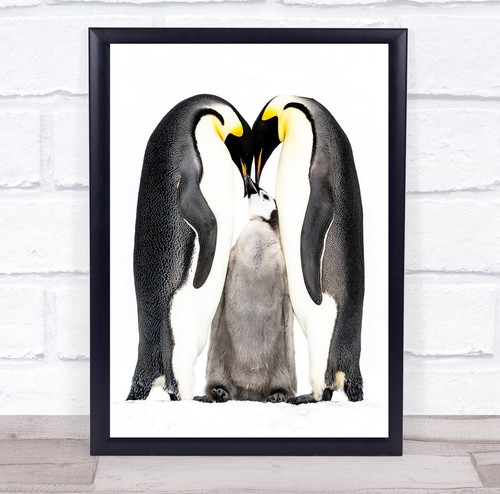 Happy Family! penguins together cute animals Wall Art Print | eBay Happy Family! penguins together cute animals Wall Art Print | eBay