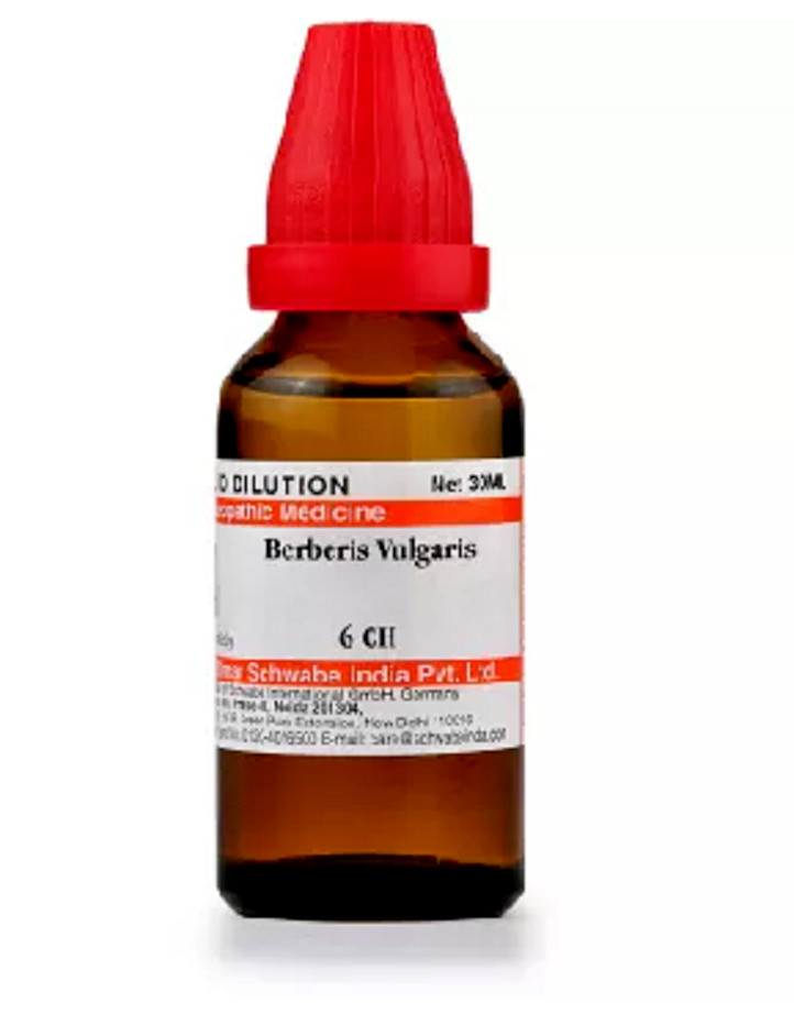 Dr Willmar Schwabe India Berberis Vulgaris 6 CH Verdünnung 30 ml