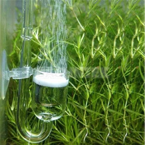 Aquarium U Shape Fish Tank FY2 Diffuser Check ValveGlass Tube Suction Cup Kit FY - Picture 5 of 11