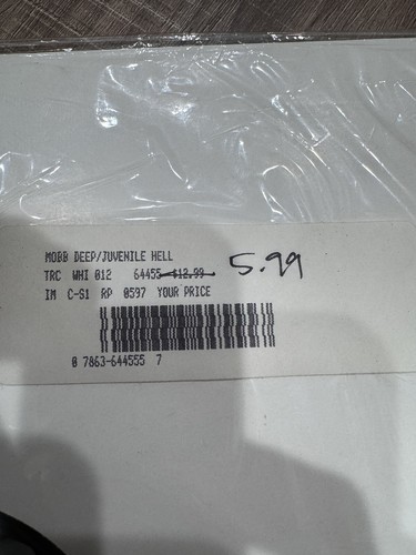 Mobb Deep ‎– Juvenile Hell Original Pressing Promo - Picture 5 of 12