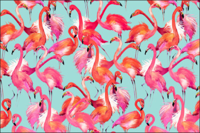 VINYL Fototapete XXL TAPETE Flamingos Tiere Natur 613