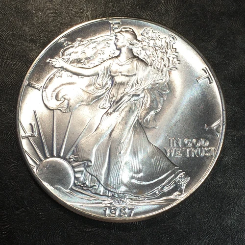 1989 Uncirculated American Silver Eagle US Mint Issue 1oz Pure Silver #o302
