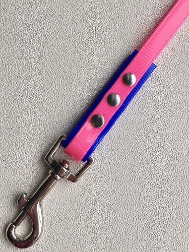 Biothane 5 Metre 12mm wide Tracking Recall Training Dog Lead Medium-Large Dogs - Picture 4 of 12