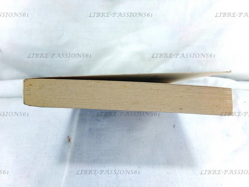 RAIMOND "LE CATHARE", DOMINIQUE BAUDIS, ÉDITIONS LE LIVRE DE POCHE, 2001 - Picture 4 of 10