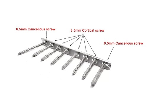Small DCP plate with 3.5mm cortex 50pcs screw Veterinary - Picture 3 of 11