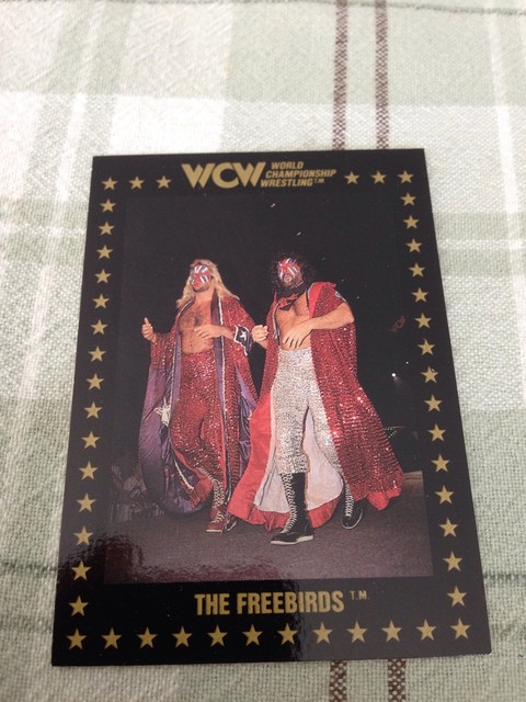 WCW Trading Cards 1991 The Freebirds 32 Championship Marketing Inc 