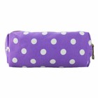 Unbranded Pencil Purple Cases