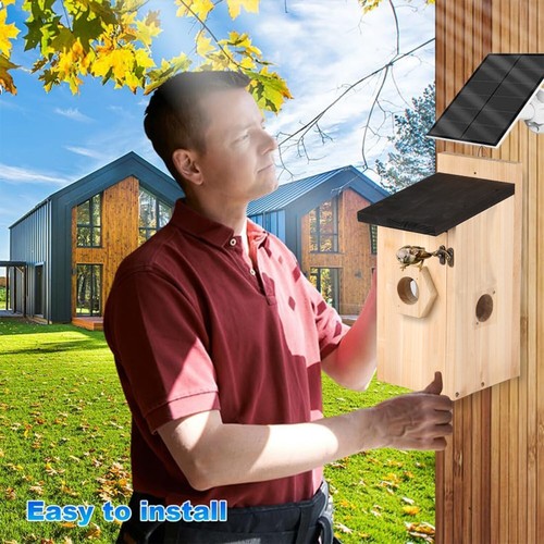 Maison à oiseaux avec caméra, nichoir, notification Wi-Fi et application, fonctionnement solaire - Photo 5/30