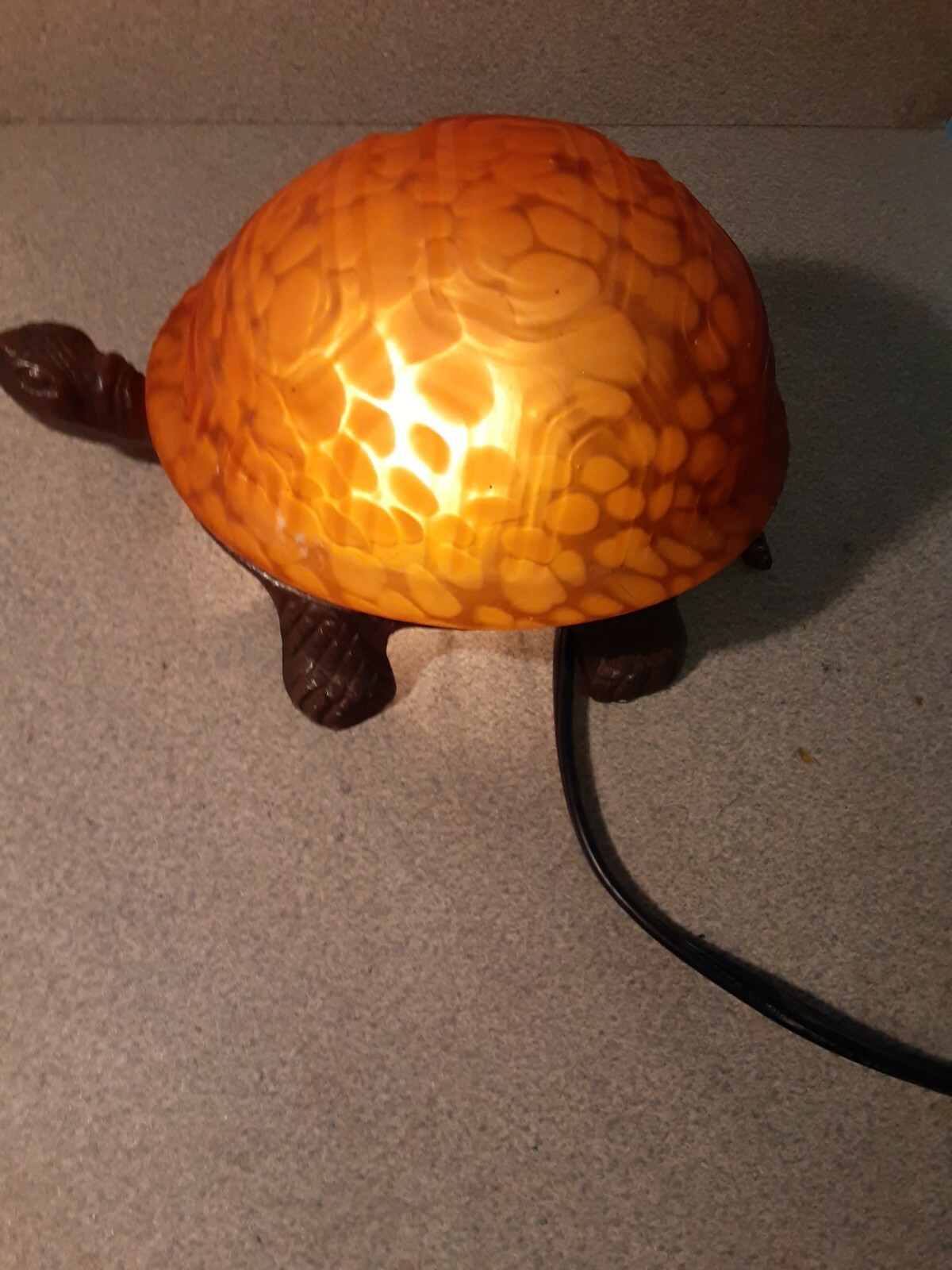 tortoise light at night