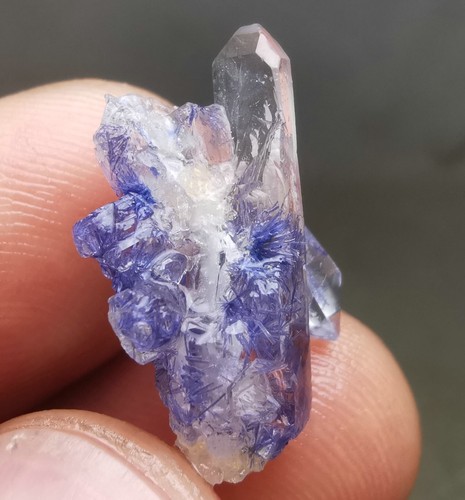 12,5ct sehr seltenes natürliches klares schönes blaues Dumortierit Kristall Exemplar - Bild 9 von 13